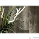 Виниловые полы Alpine Floor Easy Line Орех Темный ECO 3-13 - фото 6