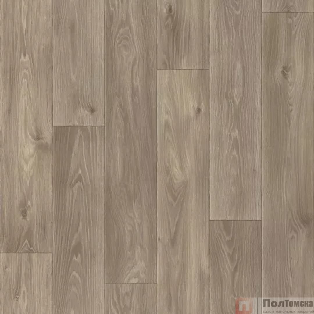 Линолеум Синтерос Комфорт Spenser 5