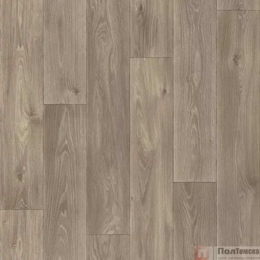 Линолеум Синтерос Комфорт Spenser 5