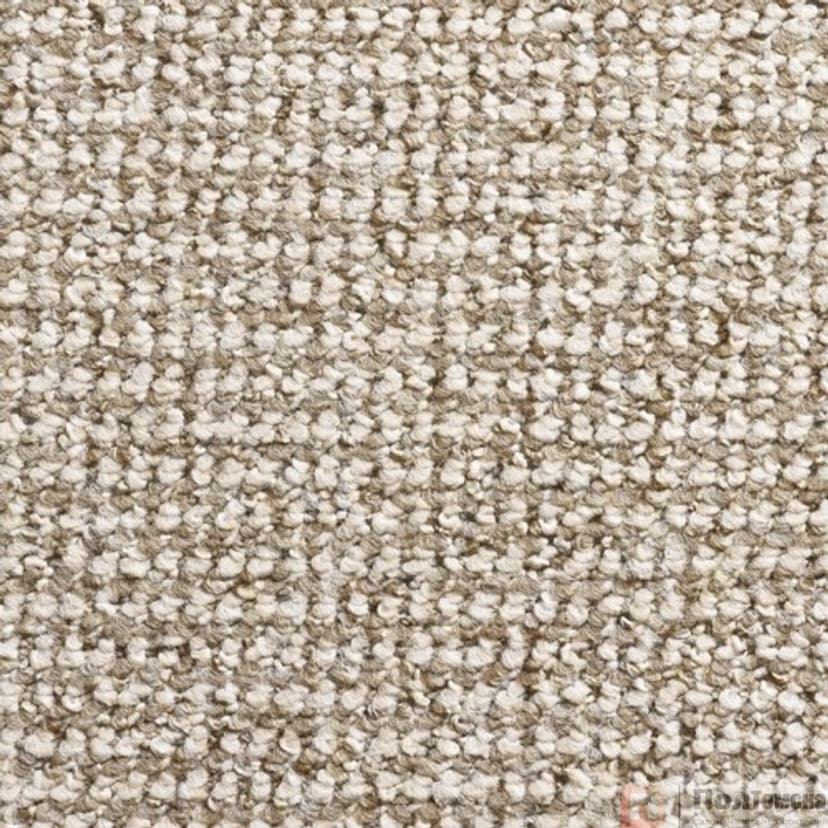 Ковровое покрытие Timzo Conan 8312  (8312-500)