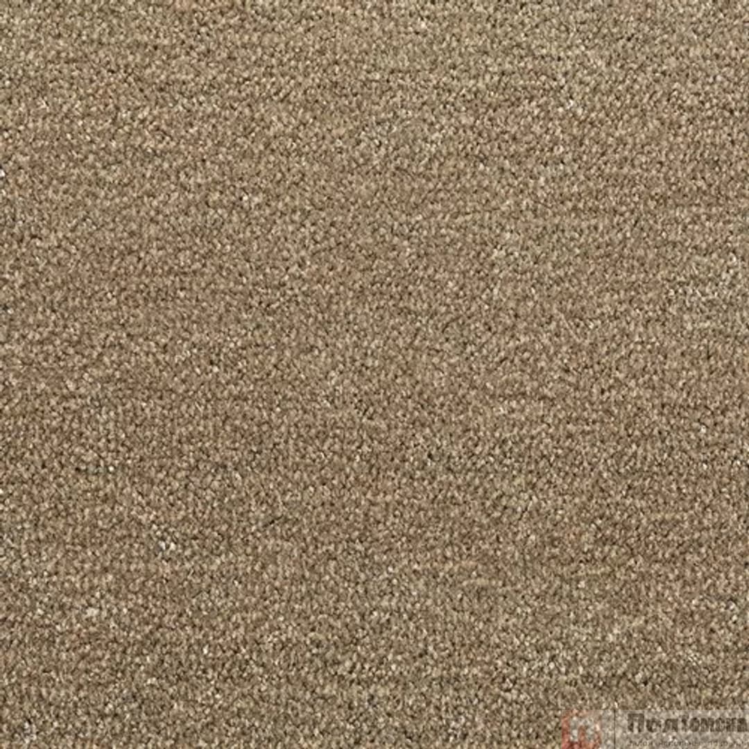 Ковровое покрытие Tarkett Драгон Термо 10431