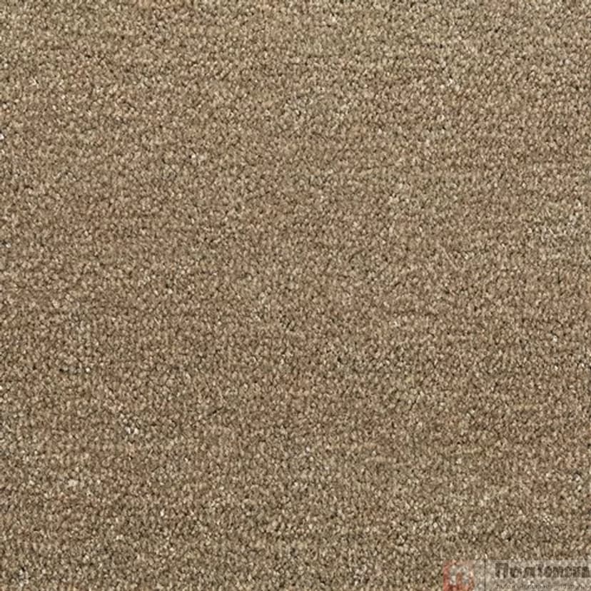 Ковровое покрытие Tarkett Драгон Термо 10431