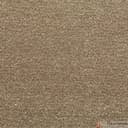 Ковровое покрытие Tarkett Драгон Термо 10431 - фото 1