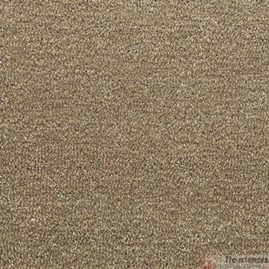 Ковровое покрытие Tarkett Драгон Термо 10431  (10431 -400)