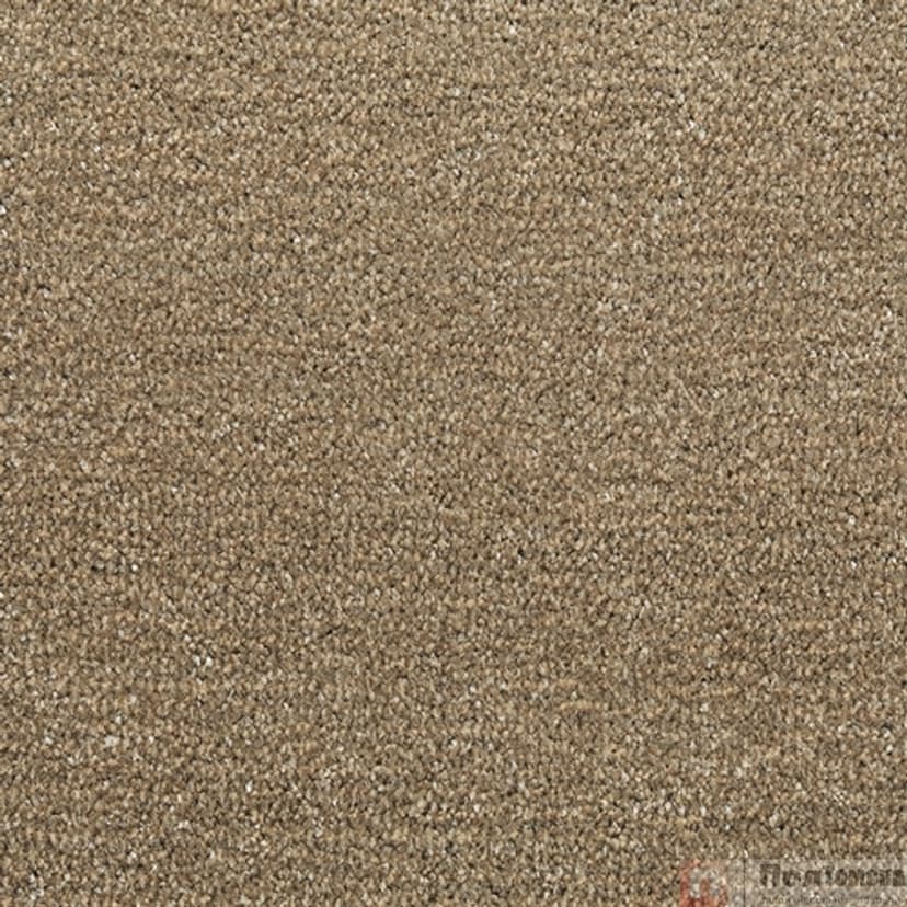 Ковровое покрытие Tarkett Драгон Термо 10431  (10431 -400)