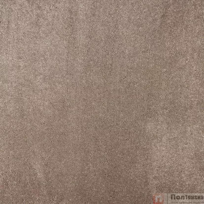 Ковровое покрытие Filoteks Discovery 70