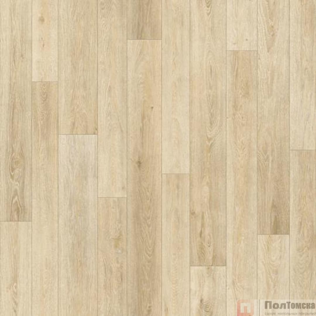 Линолеум Синтерос Bonus Duncan 1 (VBNSI-DUNK1-400)