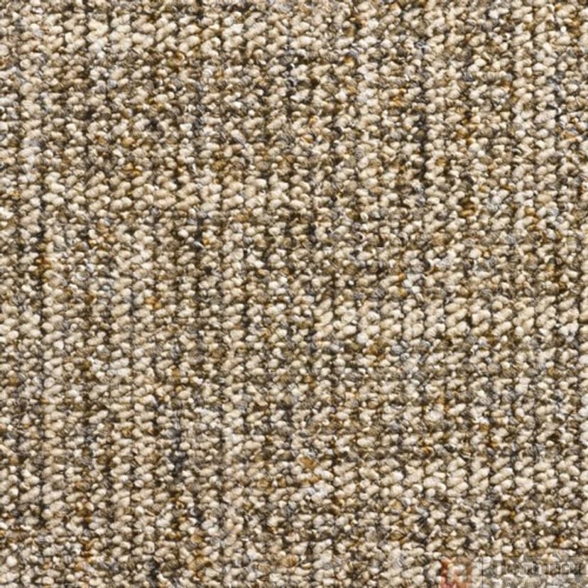 Ковровое покрытие Timzo Valencia 1618  (1618-500)