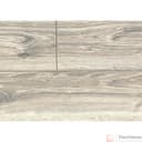 Ламинат Woodstyle Bravo Дуб Байлот - фото 2