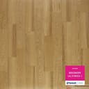 Линолеум Tarkett Discovery California 1 (VDISI-CALI1-300) - фото 1