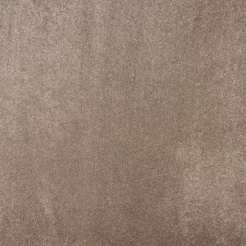 Ковровое покрытие Filoteks Discovery 70