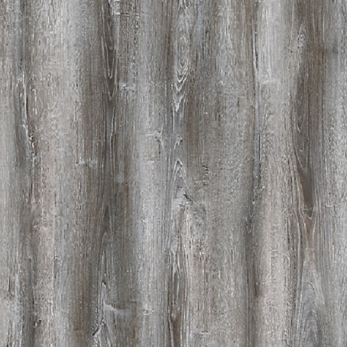 Ламинат Kastamonu Black FP857.2 Сосна Асахи