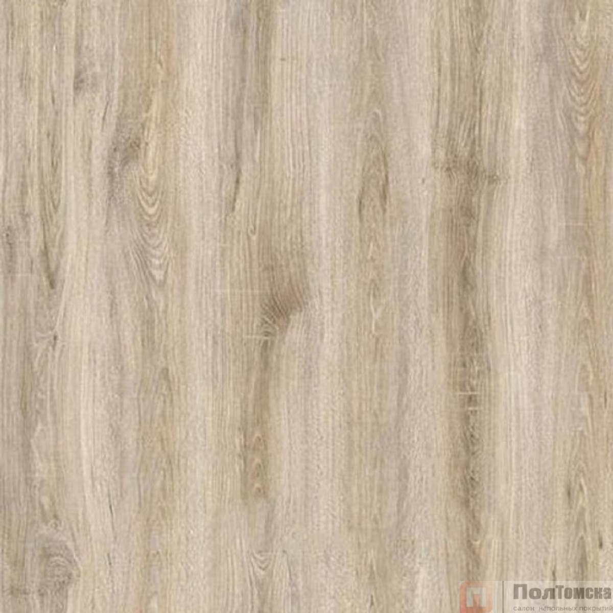 Ламинат SunFloor 8/33 4NV Дуб Фрейзер SF53