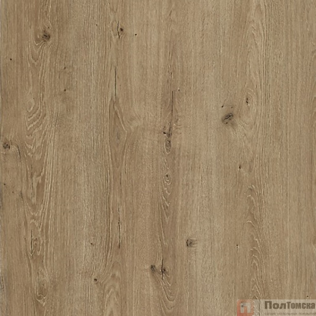 Ламинат Kastamonu Black FP854.2 Дуб Альмади