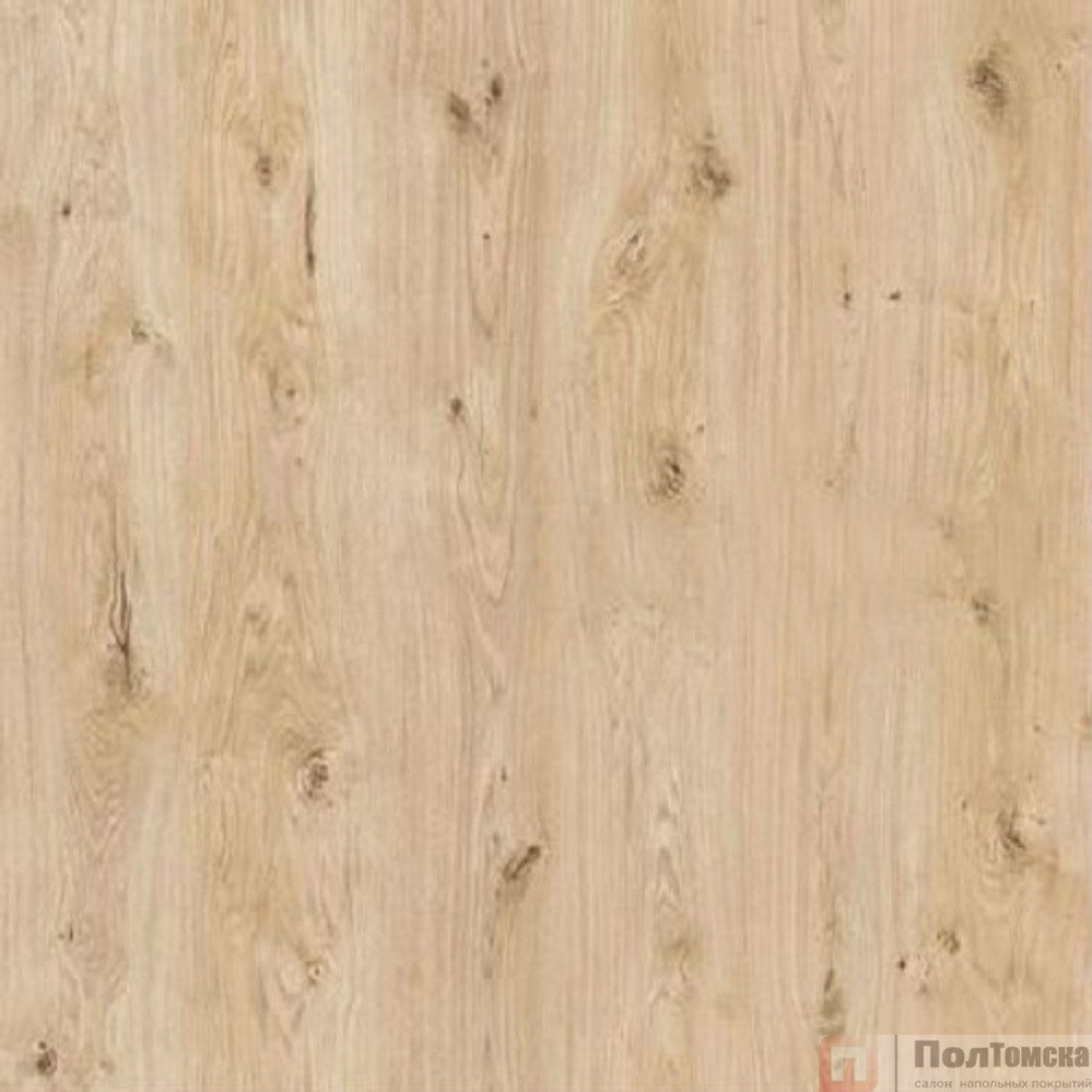 Ламинат Kastamonu SunFloor 12мм SF 103 Дуб Родос