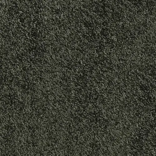 Ковровое покрытие AW Sunset 24  (24-400)