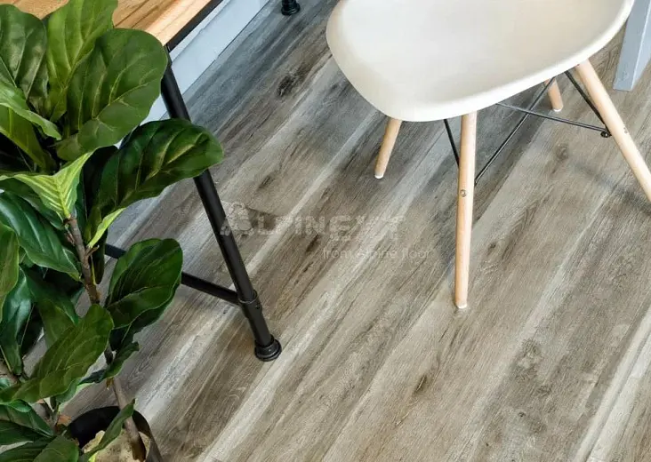 Виниловые полы Alpine Floor Easy Line Дуб Лесной ECO 3-18 Виниловые полы Alpine Floor Easy Line Дуб Лесной ECO 3-18