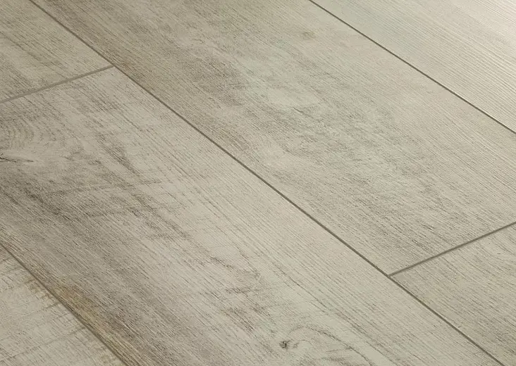 1c89c264c6072d637ae37c0f3e2585a3