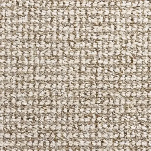 Ковровое покрытие Timzo Conan 8312  (8312-500)