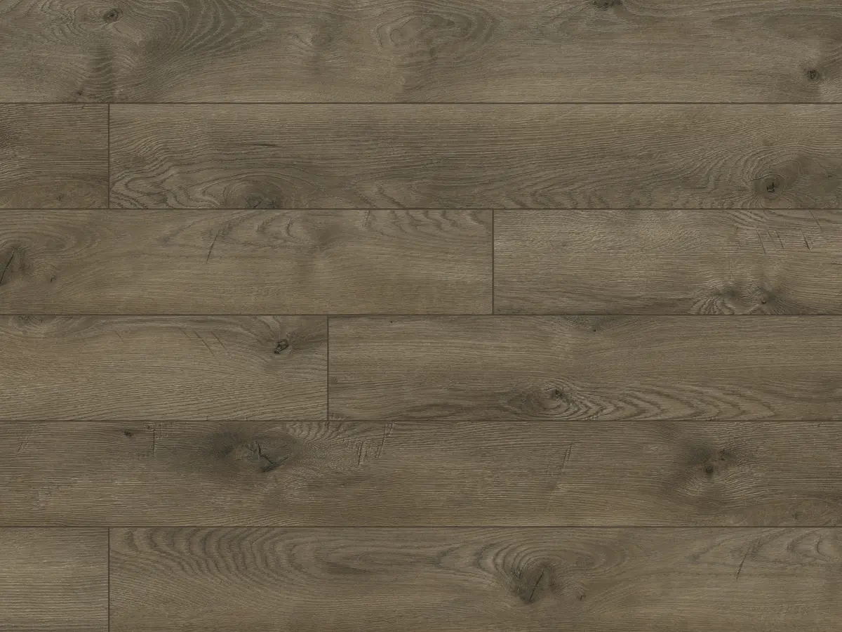 Ламинат Classen Legend WR Дуб Данди 54781