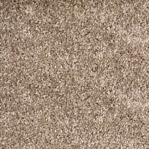 Ковровое покрытие AW Cordoba 49  (49-500)