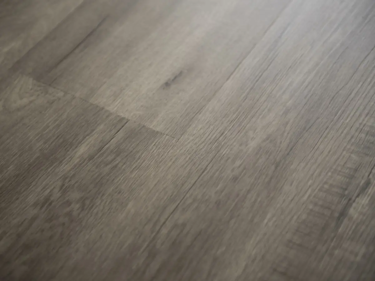 Q-16 Дуб Сохо