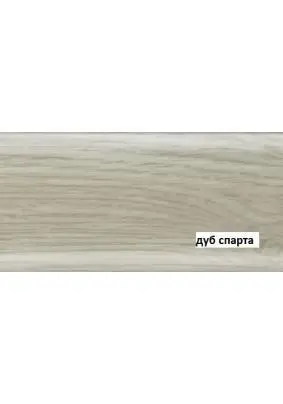 Напольный плинтус Salag  NGF56 Е1 Дуб спарта