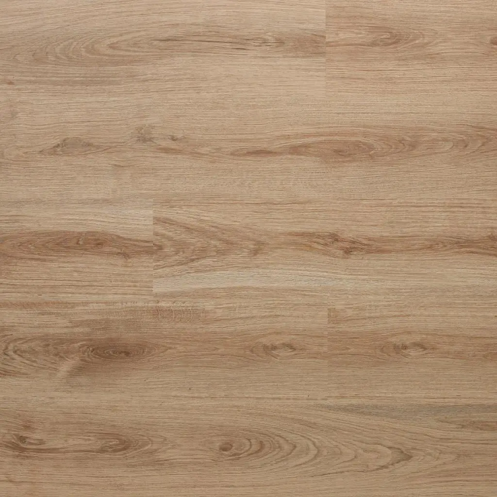 231629a53394262a4b9576cee1d219ed