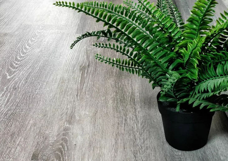 SPC ламинат Alpine Floor Classic Ясень Серый ECO 134-5 SPC ламинат Alpine Floor Classic Ясень Серый ECO 134-5