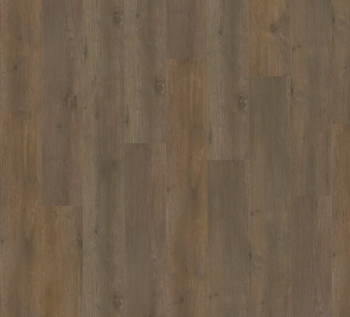 SPC ламинат Adelar Solida Acoustic Major Oak 05871LG