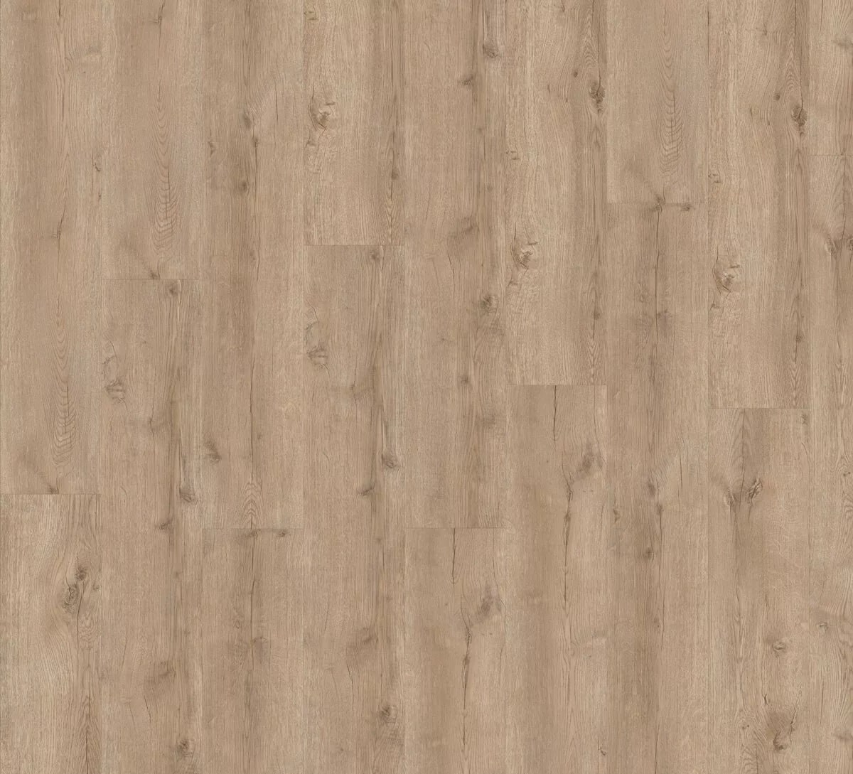 SPC ламинат Adelar Solida Acoustic Major Oak 05829LG