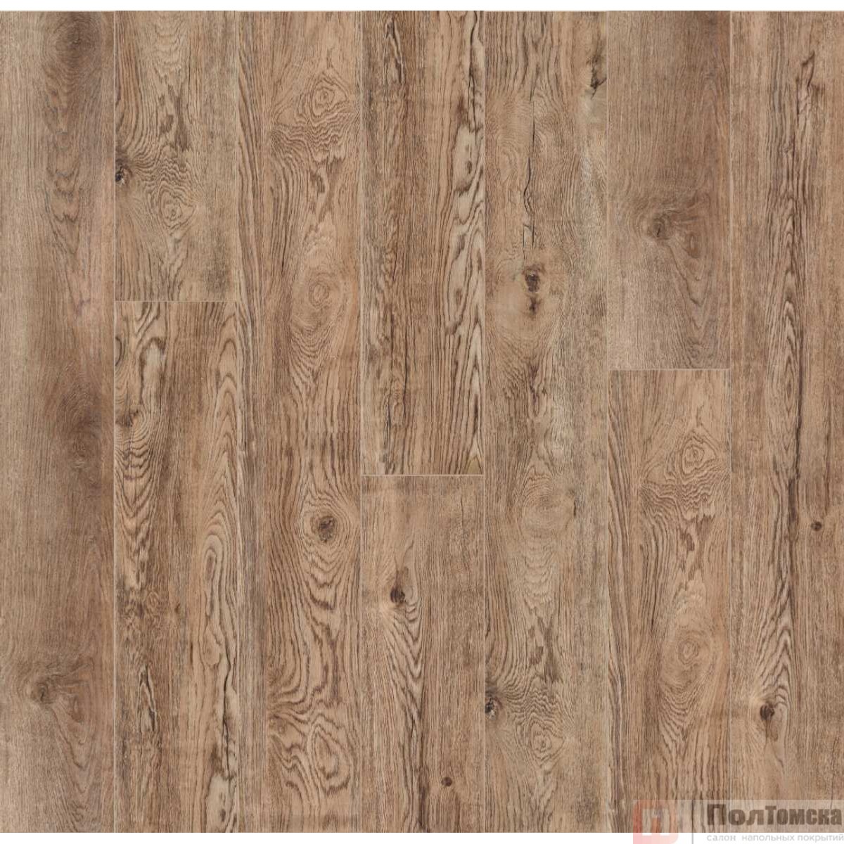 SPC ламинат CronaFloor Grand Sequoia Дуб Золотистый