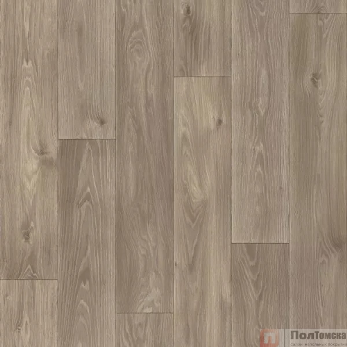 Линолеум Синтерос Комфорт Spenser 5