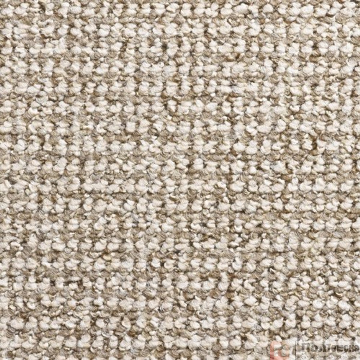 Ковровое покрытие Timzo Conan 8312  (8312-500)