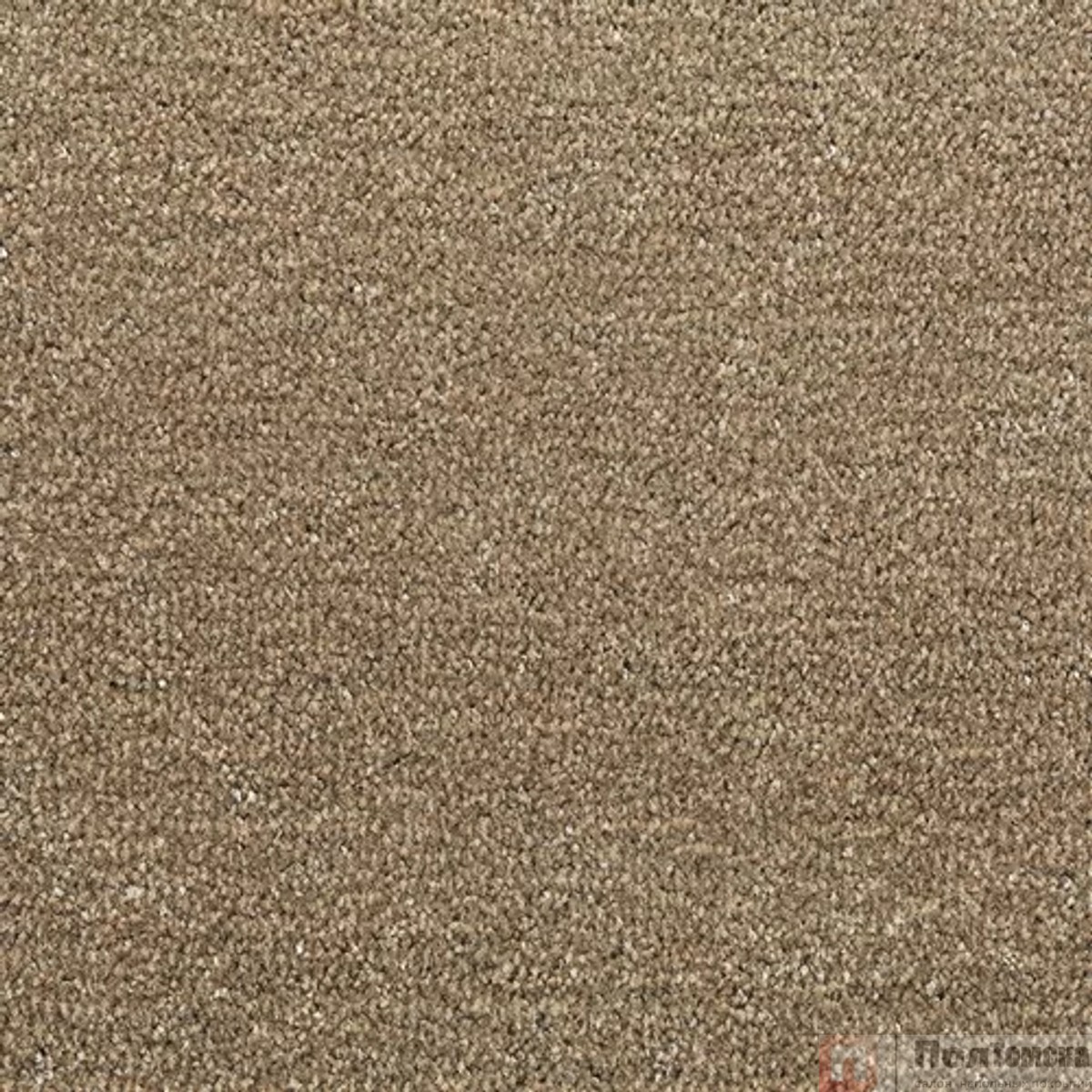 Ковровое покрытие Tarkett Драгон Термо 10431