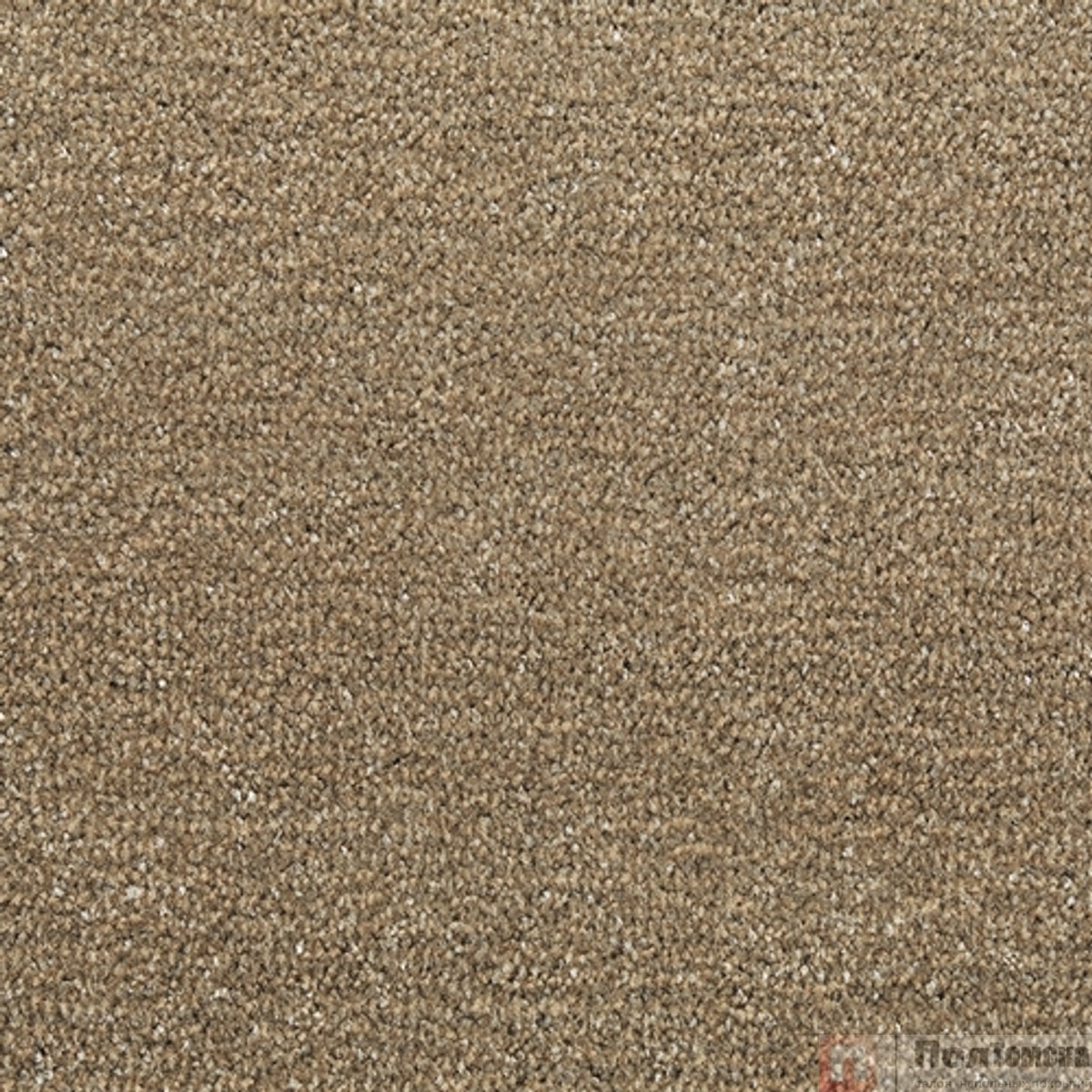 Ковровое покрытие Tarkett Драгон Термо 10431  (10431 -400)