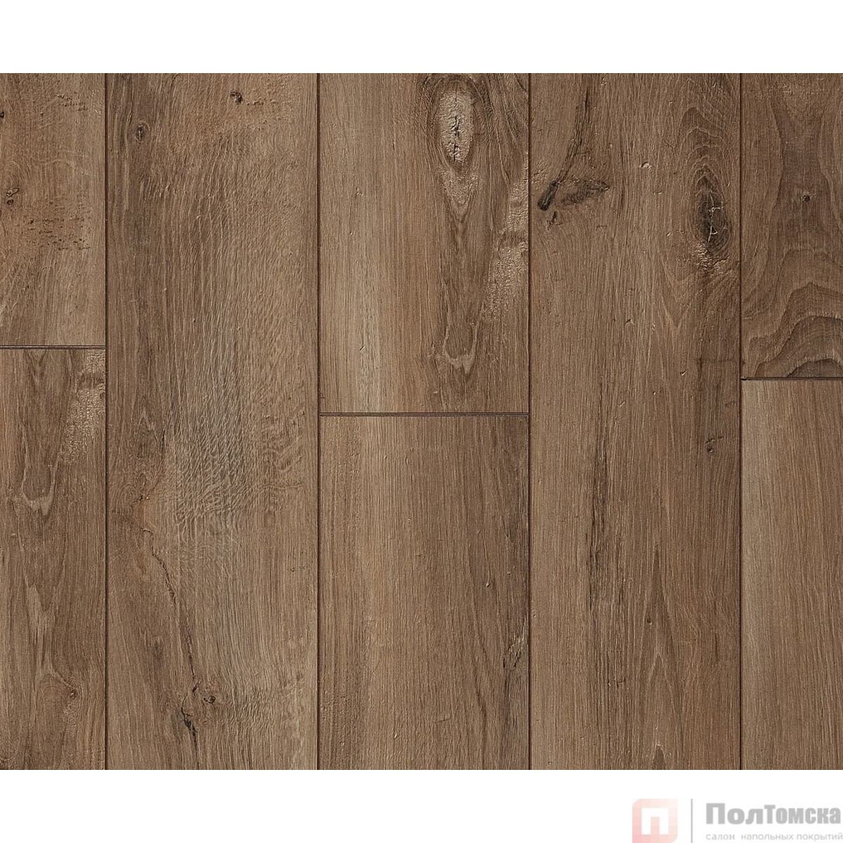 Ламинат SunFloor 8/33 4NV Дуб Берлин SF60