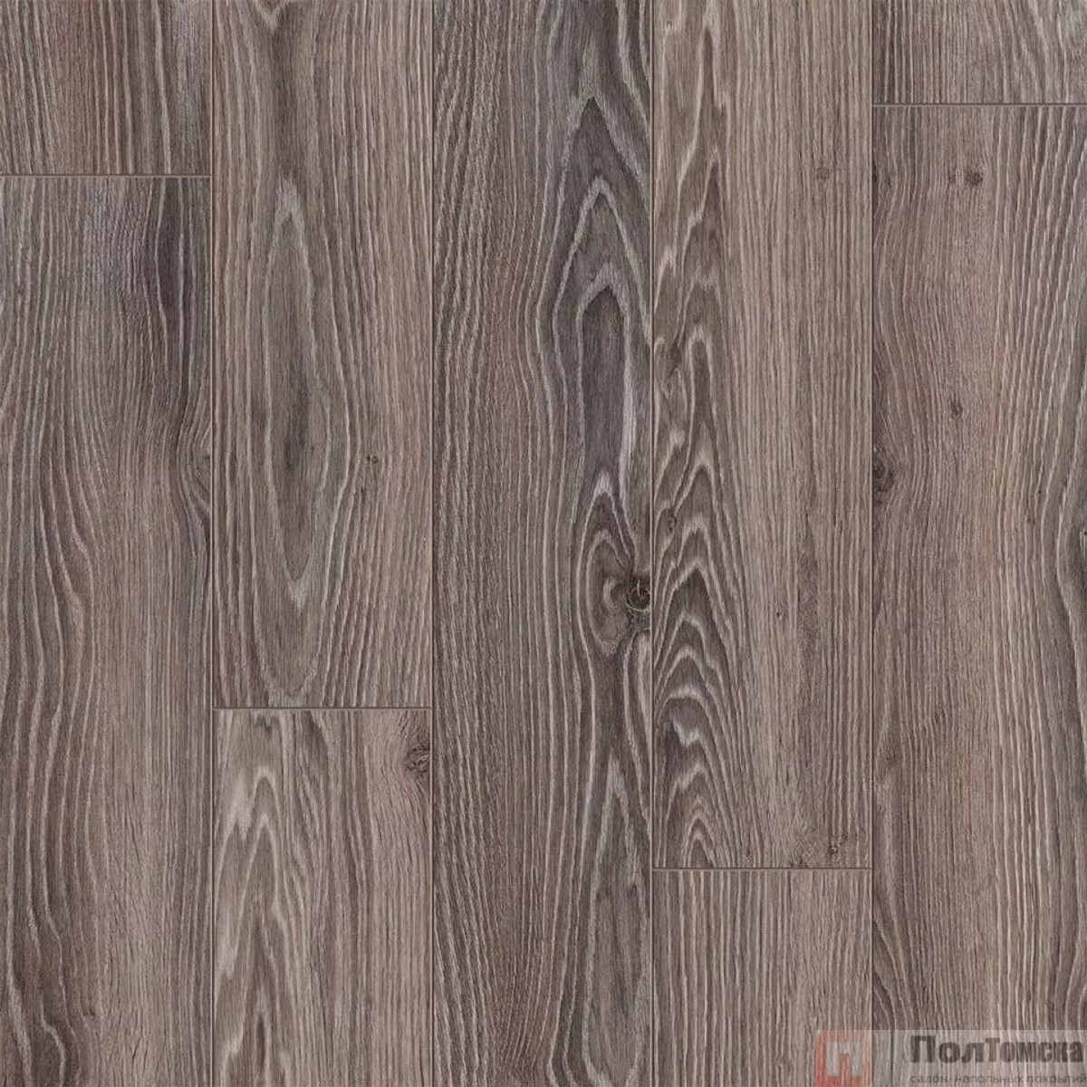 Ламинат Classen The Brush WR Дуб Серый 54941