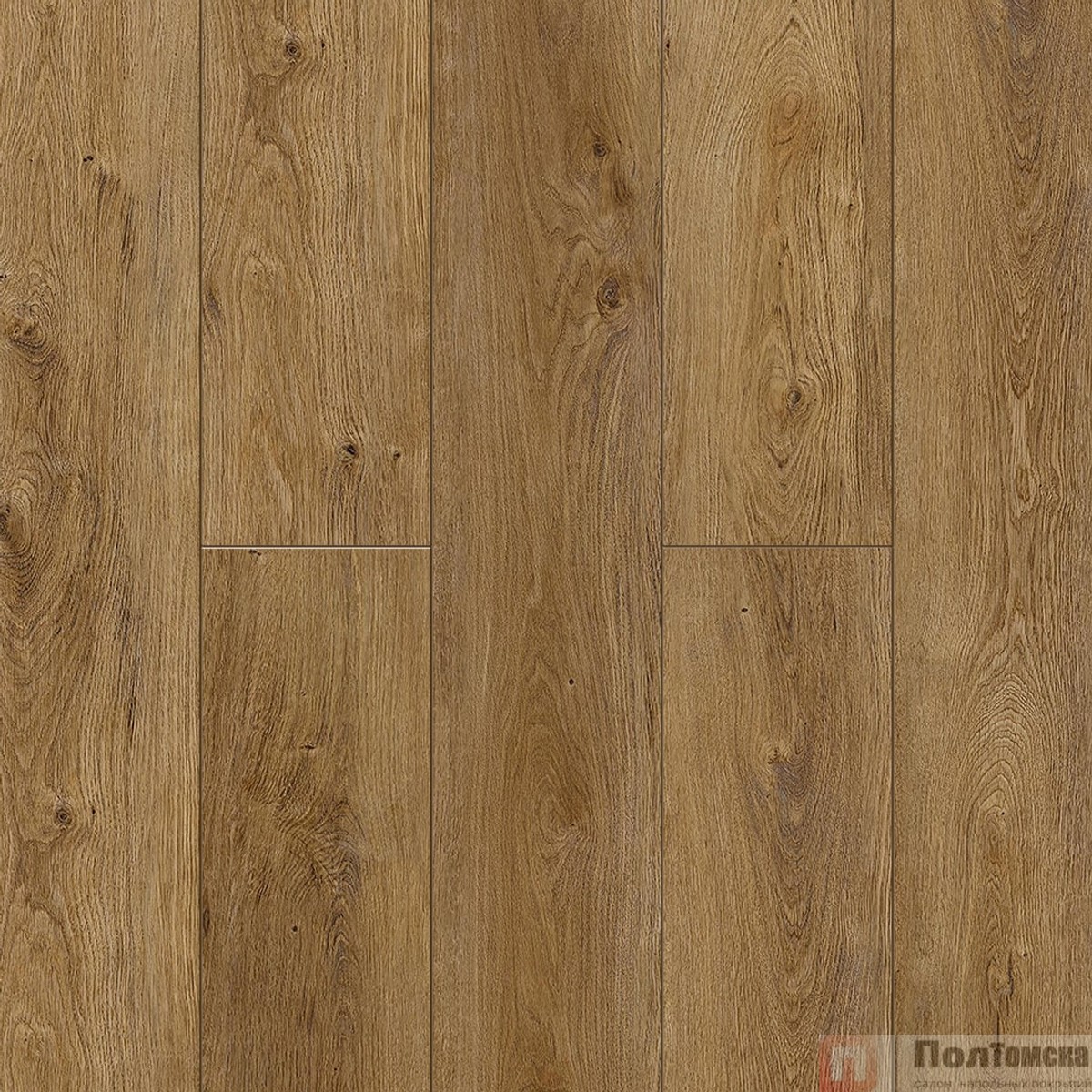 SPC ламинат NatisSton Leger Host 5001-02