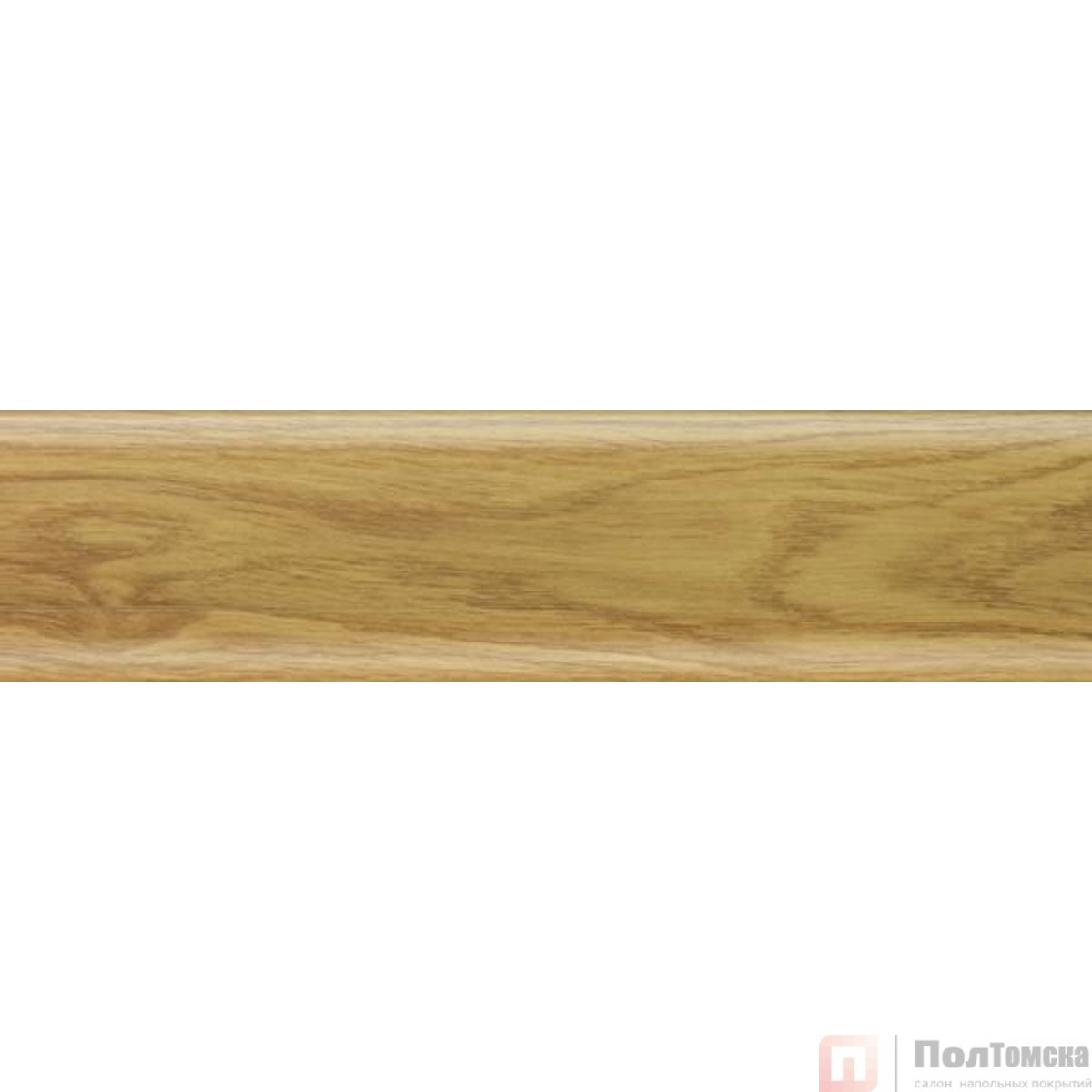 Напольный плинтус Salag  NGF56 51 дуб галийский