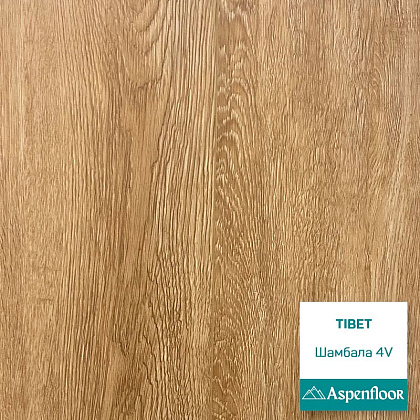 SPC ламинат Aspenfloor Tibet Шамбала