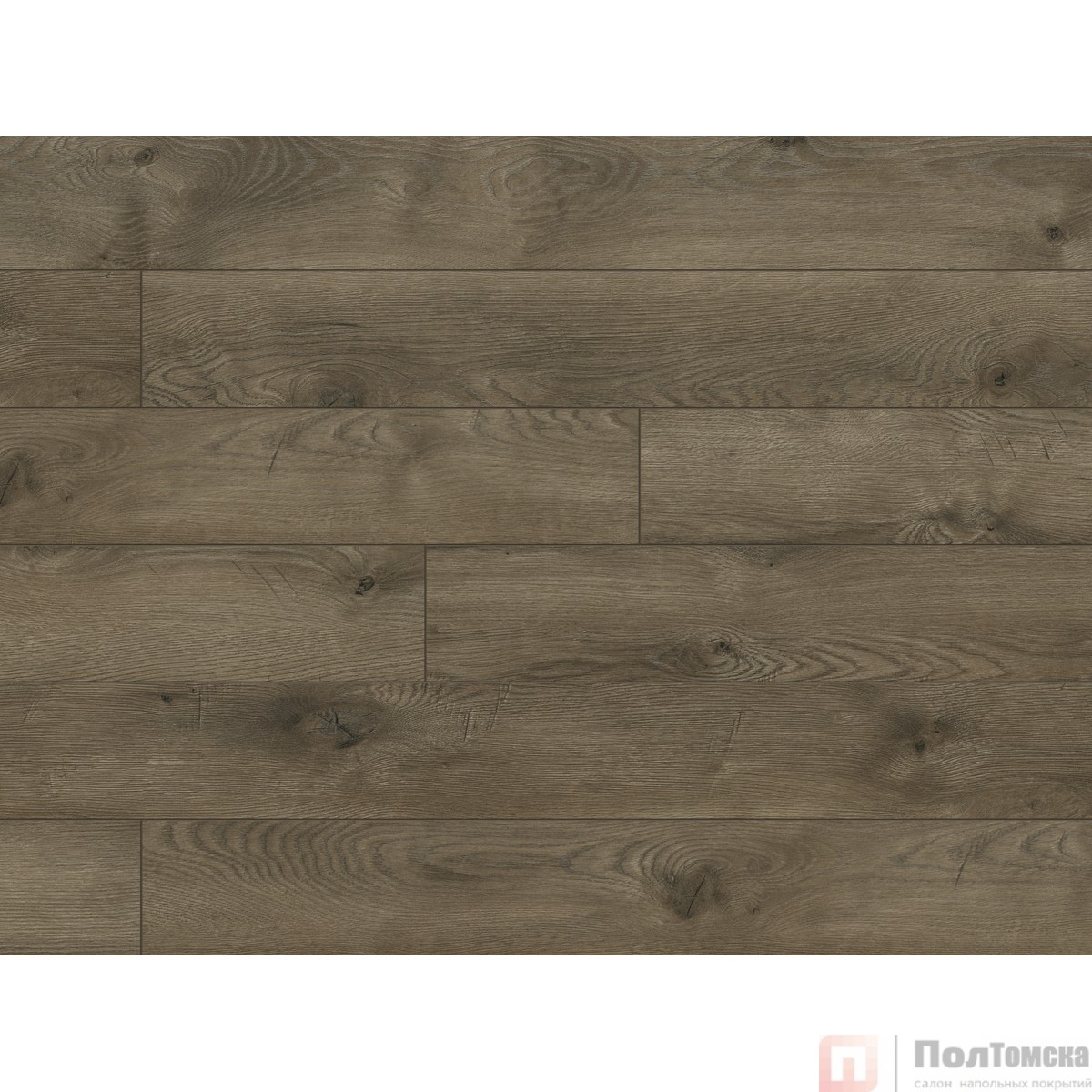 Ламинат Classen Legend WR Дуб Данди 54781