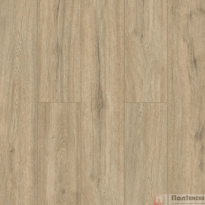 Кварцвиниловый SPC ламинат Alpine Floor Solo Plus Анданте ECO 14-1001 1220×183×4