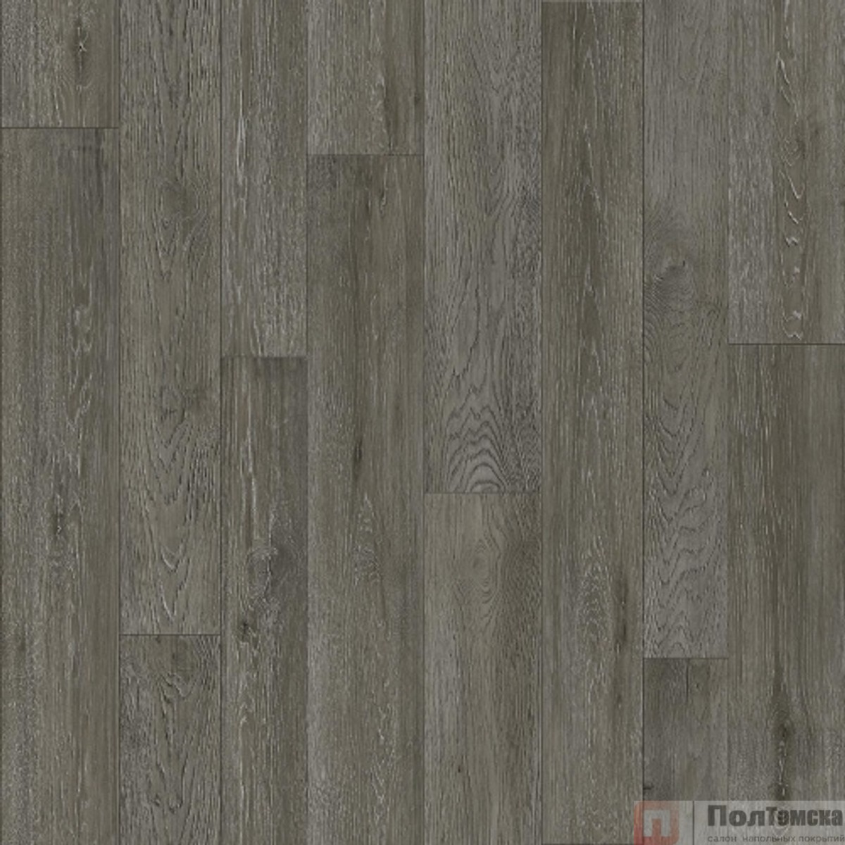 Линолеум Tarkett Club Brandy 3 (ClubBrandy3-350)