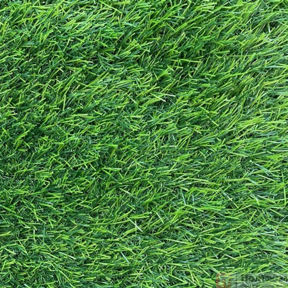 Ковровое покрытие Искуственная Трава GRASS 35 мм