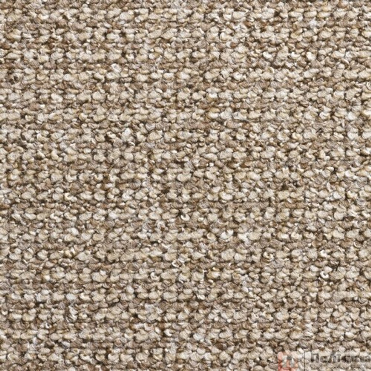 Ковровое покрытие Timzo Conan 8315  (8315-500)