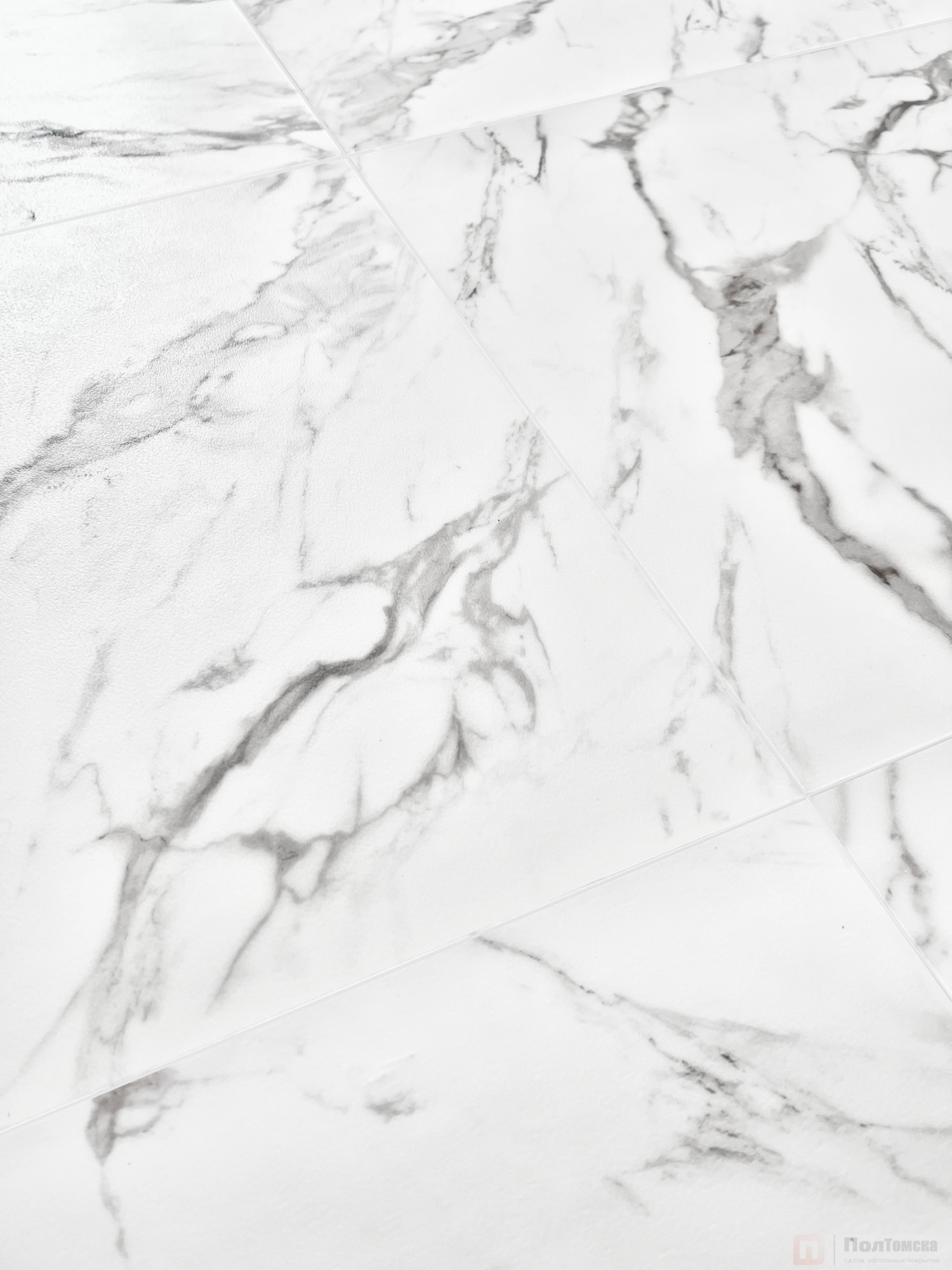 v09i1i9m8occc8115wg0nr4ip2zyna8f