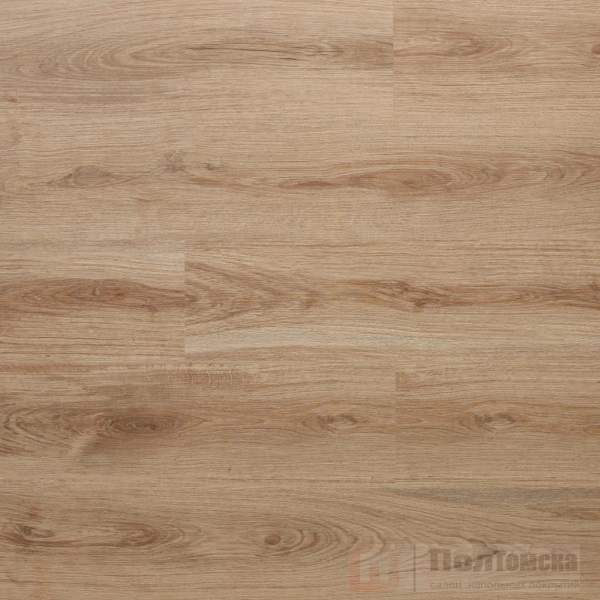 231629a53394262a4b9576cee1d219ed