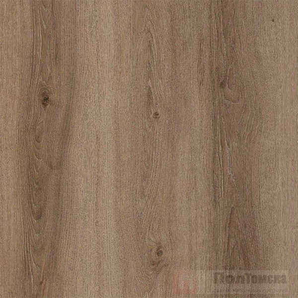 c4d495f46eadf7bf28d6c6a1d2289888