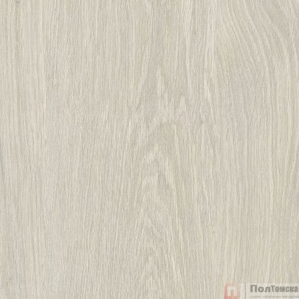 Ламинат Kastamonu Black FP52.2 Дуб Северный